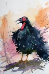 Rufender schwarzer Vogel