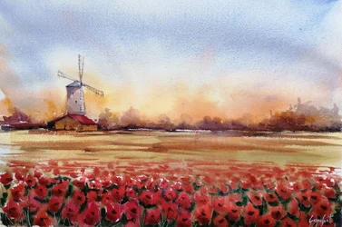 Rote Mohnblumen Windmühle