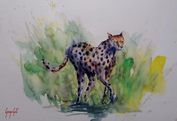 Aquarell-Wildgepard
