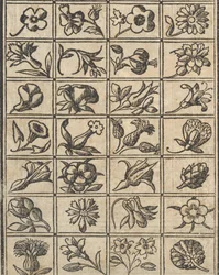 Essempio di recammi, Seite 10 verso, 1530