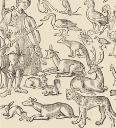 Essempio di recammi, Seite 12 verso, 1530