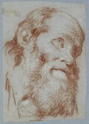 Kopf eines alten bärtigen Mannes