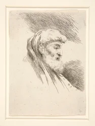 Alter Mann mit langem Bart, im Profil nach rechts gewandt, aus der Serie Die kleinen Köpfe