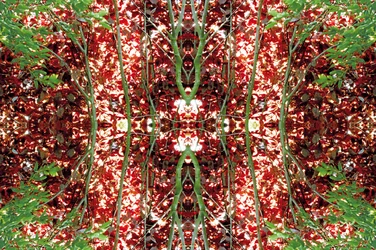 Unnatürlich 23