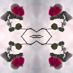 Unnatürlich 80