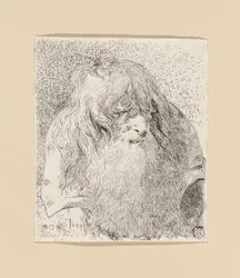 Alter Mann mit Bart und langem Haar, aus der Raccolta di Teste (Sammlung von Köpfen)