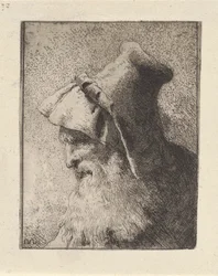Profil eines älteren Mannes mit Bart, aus der Raccolta di Teste (Sammlung von Köpfen)
