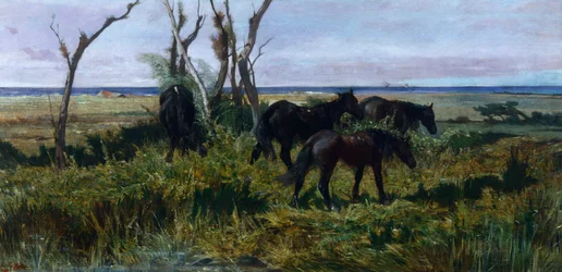 Weidende Pferde