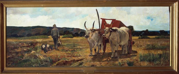 Florenz, Maremma Toscana, circa 1894
