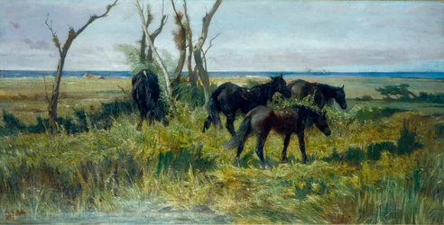 Maremma-Weide. Weidende Pferde, ca. 1872