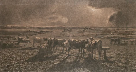 Abend (Weiden, Alla stanga)