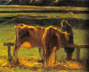 Alla Stanga