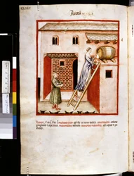 Theatrum sanitatis von Ububchasym de Baldach: 