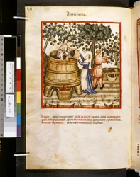 Theatrum sanitatis von Ububchasym de Baldach: 