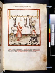 Theatrum sanitatis von Ububchasym de Baldach: 