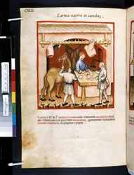 Theatrum sanitatis von Ububchasym de Baldach: 