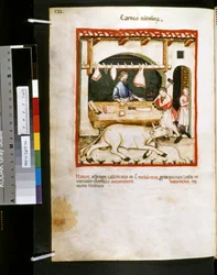 Theatrum sanitatis von Ububchasym de Baldach: 