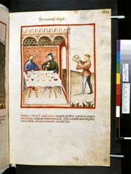 Theatrum sanitatis von Ububchasym de Baldach: 