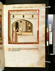 Theatrum sanitatis von Ububchasym de Baldach: 