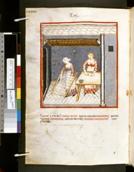 Theatrum sanitatis von Ububchasym de Baldach: 