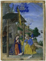 Einzelne Miniatur: Die Geburt Christi