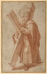 Die zwölf Apostel: St. Andreas