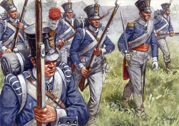 Erstes Kaiserreich: Belgische oder niederländische Infanterie um 1815 - Illustration von Giuseppe Rava