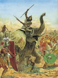 Zweiter Punischer Krieg: Die Schlacht von Zama (202 v. Chr.) die karthagischen Elefanten