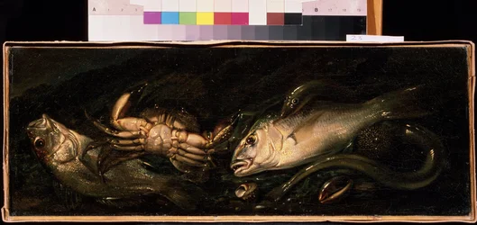 Stillleben mit Fischen und Krabbe