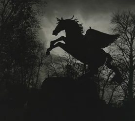 Pegasus-Statue in den Mirabellgärten