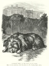 Greyfriars