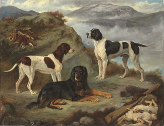 Sherry, Ranger und Glen, drei Jagdhunde in einer Landschaft