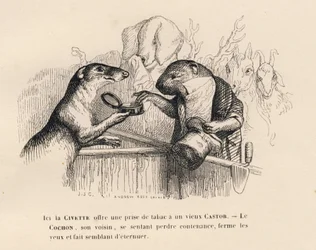 Eine Zibetkatze bietet einem alten Biber eine Prise Tabak an, das Schwein dahinter versucht sich zu beherrschen. Illustrierte Vignetten von JJ Granville. Gravur signiert Andrew Best und Leloir im Prolog "Parlamentarische Zusammenfassung" geschrieben von PJ