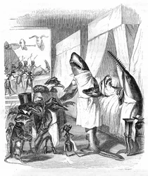 Karikatur: Fische - Ärzte: Grandville-Stich, aus dem Buch „Privates und öffentliches Leben der Tiere (Les animaux peints par eux-mêmes)“, Hetzel-Ausgabe 1867, S. 551 - Ein Hai und ein Sägefisch (Fischsäge) am Krankenbett einer kranken Person im Bett.