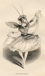 Sie tanzte eine Saltarelle. Vignetten illustriert von JJ Granville. Gravur signiert von Andrew, Best und Leloir im Teil "Die Abenteuer eines Schmetterlings" geschrieben von PJ Stahl in "Szenen aus dem privaten und öffentlichen Leben der Tiere". Paris, J. H