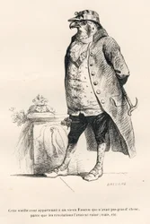 Falke ruiniert durch die Revolutionen. Vignetten illustriert von JJ Granville. Gravur signiert von Breviere im Teil "Erinnerungen einer alten Krähe" geschrieben von PJ Stahl in "Szenen aus dem privaten und öffentlichen Leben der Tiere". Paris, J. Hetzel un