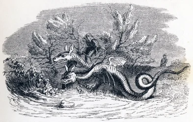Der Drache mit mehreren Köpfen und der Drache mit mehreren Schwänzen - Fabeln von La Fontaine