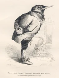 Amsel "alt, gebrochen, gesprächig, launisch aber gut, aber hingebungsvoll und häuslich von Natur". Illustrierte Vignetten von JJ Granville. Gravur signiert Tamisier im Teil "Erinnerungen einer alten Krähe" geschrieben von PJ Stahl in "Szenen aus dem privat