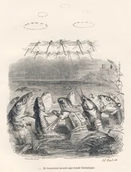 Runde der Wassertiere und Libellen. Vignetten illustriert von JJ Granville. Gravur signiert Andrew, Best und Leloir im Teil "Erinnerungen einer alten Krähe" geschrieben von PJ Stahl in "Szenen aus dem privaten und öffentlichen Leben der Tiere". Paris, J. H