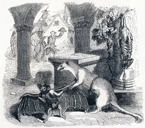 Die Fledermaus und die zwei Wiesel - Fabeln von La Fontaine