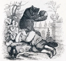 Der Bär und der Gartenliebhaber - Fabeln von La Fontaine