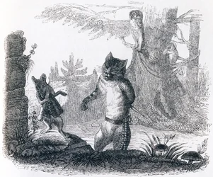 Die Katze und die Ratte