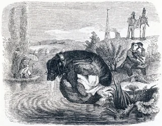 Der Hund, der seine Beute für den Schatten aufgibt - Fabeln von La Fontaine