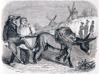 Der Esel in der Löwenhaut