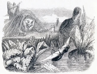 Die Taube und die Ameise - Fabeln von La Fontaine