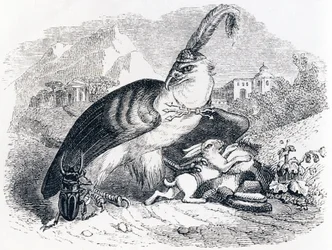 Der Adler und die Schnecke - Fabeln von La Fontaine