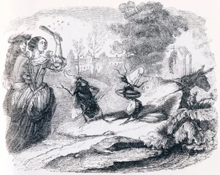 Die Fliege und die Ameise - Fabeln von La Fontaine