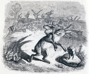 Die Ohren des Hasen - Fabeln von La Fontaine