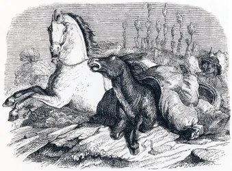 Das Pferd und der Esel - Fabeln von La Fontaine