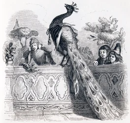 Der Pfau beklagt sich bei Juno - Fabeln von La Fontaine